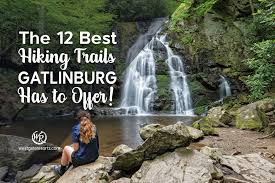 Roadrunner park yelp page roadrunner park. The 12 Best Hiking Trails Gatlinburg Has To Offer
