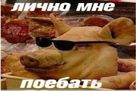 images?q=tbn:ANd9GcQNkXES5nZiwKz8_XjUP9s