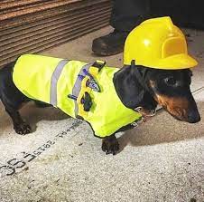 Let S Build A Great Day Doxie Dachshund Hard Hat