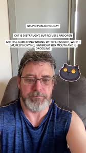 Cat Crying with Paw over Mouth