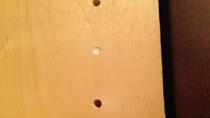 owner claims termites came with new
