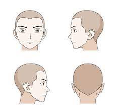 We did not find results for: Cara Menggambar Rambut Pria Wanita Pada Anime Manga Anidraw