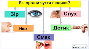 ÐšÐ¾Ð½Ñ Ð¿ÐµÐºÑ‚ ÑƒÑ€Ð¾ÐºÑƒ "ÐžÐºÐ¾ Ñ Ð¾Ð¿ÑÐÐÑÑÐÐÐÑÑ Ñ Ð¸Ñ Ñ‚ÐµÐ¼Ð°. Ñ€Ð¸ ...