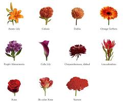 We did not find results for: List Of Fall Wedding Flowers In Season Asiatic Lily Asters Calla Lilies Chrys Wedding Flower
