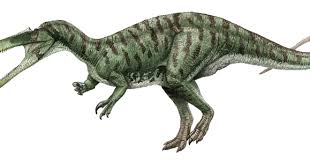 Image result for Suchomimus