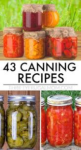 43 Must Try Canning Recipes Thrifty Frugal Mom In 2020 Canning Recipes Salsa Canning Recipes Canning Vegetables