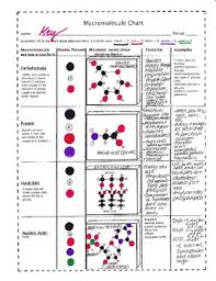 67 Accurate Biological Macromolecules Chart