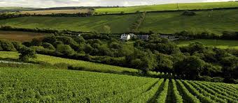 See reviews and photos of wineries & vineyards in carmel valley, california on tripadvisor. Learn About The Story Behind Cornwall S Camel Valley Wines