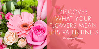 Let your crush know that. What To Think About When Choosing Flowers To Send For Valentine S Day Gordon Boswell