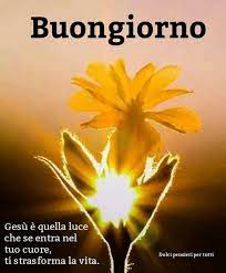 Parola di dio (ученик) è un film del 2016 diretto dal regista russo kirill serebrennikov. Pin Su Antonia