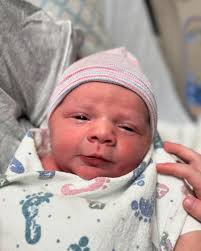 Mark Andersen (@markandersen) • Instagram photos and videos