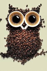 Coffee Owl Amor De Un Cafe Amo El Cafe Imagenes De Cafe