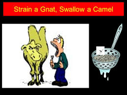 To the overthrow of a social system that breeds crime swallowing a camel, and straining at a gnat. Matt 23 23 24 Nkjv Woe To You Scribes And Pharisees Hypocrites For You Pay Tithe Of Mint And Anise And Cummin And Have Neglected The Weightier Matters Ppt Download