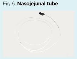 Selection And Management Of Commonly Used Enteral Feeding