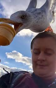 Last time I popped into Mevagissey, I went to Ruby's for an ice cream. A  gully landed