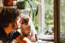 For girls aged 6 to 14 years & womans fashion. Pet Friendly Plants How To Choose Safe Houseplants Rent Blog
