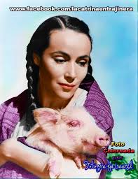 Xochimilco de las Candelarias y mis recuerdos