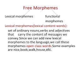 What we have described as free morphemes fall into two categories. Morphology Son