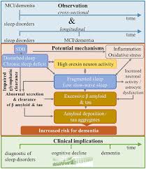 Frontiers | Associations of sleep disorders with all-cause MCIdementia and  different types of dementia – clinical evidence, potential pathomechanisms  and treatment options: A narrative review