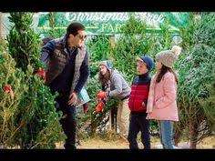 Catch your favorite holiday movies friday nights at 8pm/7c on hallmark channel! 24 Hallmark Movies Ideas Hallmark Movies Movies Hallmark
