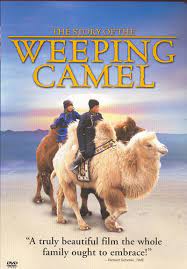 The mongolian herders are as oblivious to the camera as their camels. The Story Of The Weeping Camel Movie Review 2004 Roger Ebert