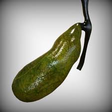 3ds Max Gallbladder Hepatic Gallbladder Cancer Gallbladder Cancer