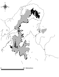 Image result for Necepsia castaneifolia