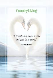 What are the signs of your soulmate connection? 20 Cute Soulmate Quotes Best Relationship Sayings