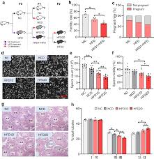 Image result for SBE Formula D touch/com