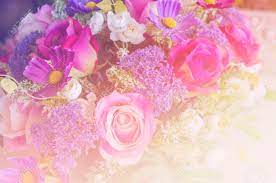 Find flowers that reflect her beauty, soft and delicate, vibrant and colorful, or innocent and playful. Rose Flower Background For Valentine S Day Stock Photo Picture And Royalty Free Image Image 72184987