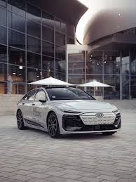 Image result for Siam Beige 2017 A1