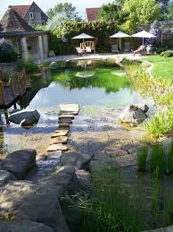 The Benefits Of Natural Swimming Pools Natural Swimming Pools Natural Swimming Ponds Backyard Pool
