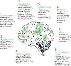 Frontiers | Lucid Dreaming Brain Network Based On Tholey's 7 Klartraum  Criteria