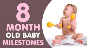 8 months old baby milestones