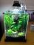 Creative Fish Tank Decoration Idea