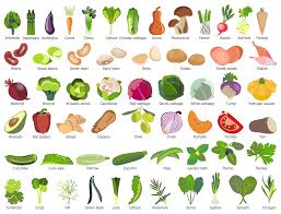 When it's overloaded with toxins from unhealthy foods, it doesn't work as well. New Health Food Solution For Conceptdraw Pro