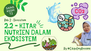 Ekosistem adalah suatu sistem ekologi yang terbentuk oleh hubungan timbal balik tak terpisahkan antara makhluk hidup dengan lingkungannya. Sainst2 Bab 2 Ekosistem 2 2 Kitar Nutrien Dalam Ekosistem Youtube