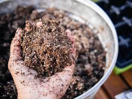 Maybe you would like to learn more about one of these? How Much Perlite Should You Add To Potting Soil Grow Your Yard