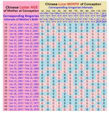 chinese calendar mayan gender prediction december 2018