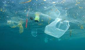 Uk Bag Tariff Halves Plastic Bag Marine Litter Reduces Sales Of Plastic Bags By 86 Ocean Pollution Plastic Pollution Pollution