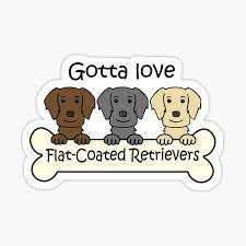 Our listings are from top breeders from around the country. Flat Coated Retrievers Stickers Redbubble