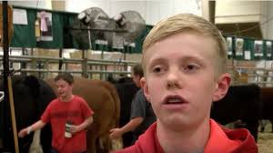 Look at this cow teach a twerpy kid a lesson