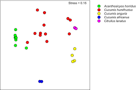 Image result for Cucumis humifructus