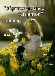 Pin De Hilda Salazar En Jw Org Textos Biblicos Testigos De Jehova Te Amo Mi Vida