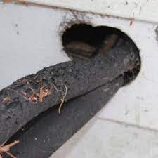 Pest exclusion / cce pest exclusion workshop | morning ag clips : Pest Exclusion On Twitter Join The Discussion On Or Participate In Pest Exclusion Research Complete The Form At Http T Co Zptcm05u5s Pestcontrol Nhhc14