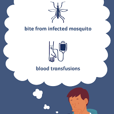 Weekly analyzed provincial mosquito, human and weather data with interactive graphs. Causes And Risk Factors Of West Nile Virus Infection