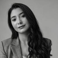 40+ perfiles de «_ Steinbach»