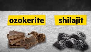 Image result for Shilajit