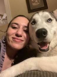 He's been found & home safe 🩵 Please keep an eye out for Zuko! Missing  from Kayes Road. Pukekohe