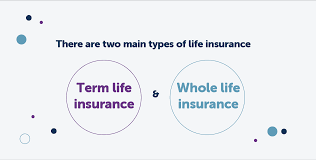 Buyer's guide (companies + rates) supplemental life insurance is a secondary life insurance policy that adds extra coverage and benefits to an existing life insurance policy. Term Insurance Vs Whole Life Insurance Fidelity Life